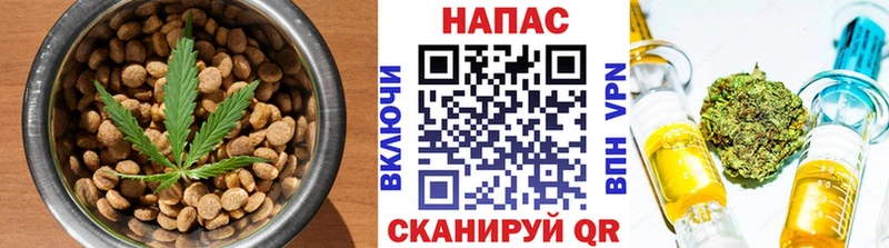 закладка  Дедовск  hydra tor  Печенье с ТГК конопля 
