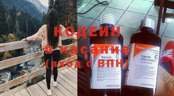 индика Бородино