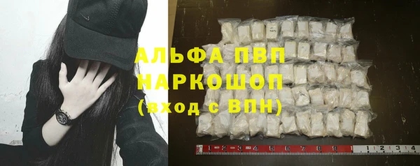 индика Бородино