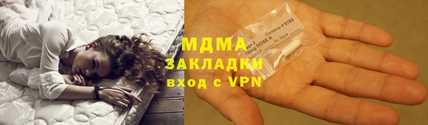 индика Бородино
