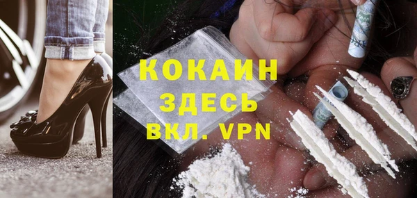 индика Бородино