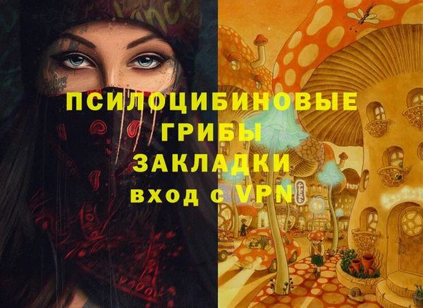 a pvp Богородск