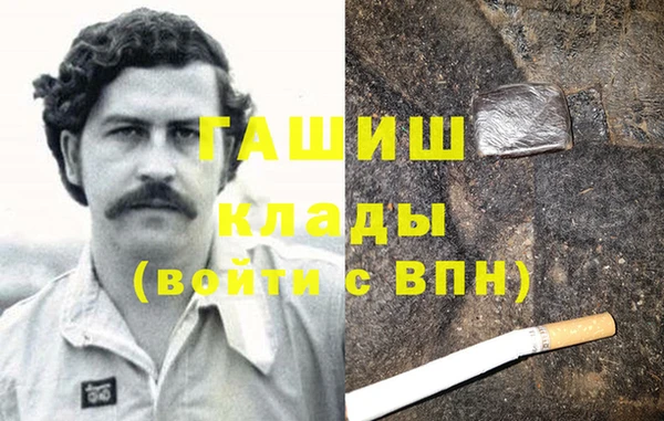 индика Бородино