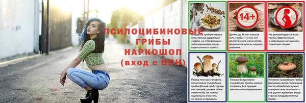 мет Богданович
