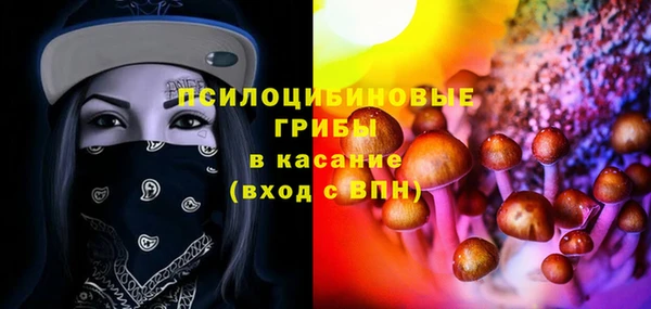 a pvp Богородск