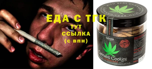 индика Бородино