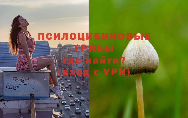 мет Богданович