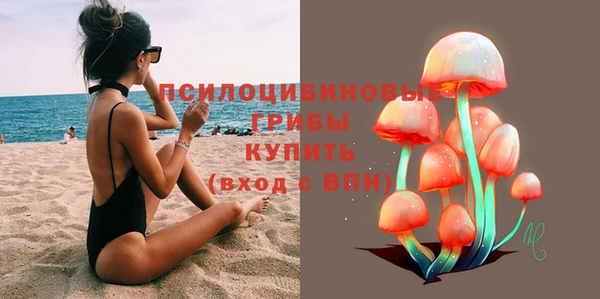 a pvp Богородск