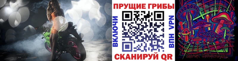 дарнет шоп  Дедовск  Псилоцибиновые грибы MAGIC MUSHROOMS 